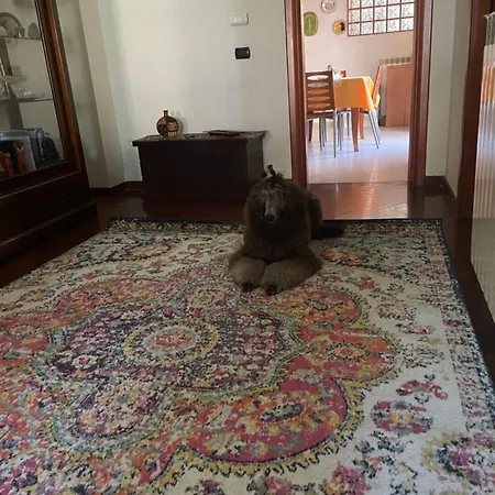 Il Pitagorico *