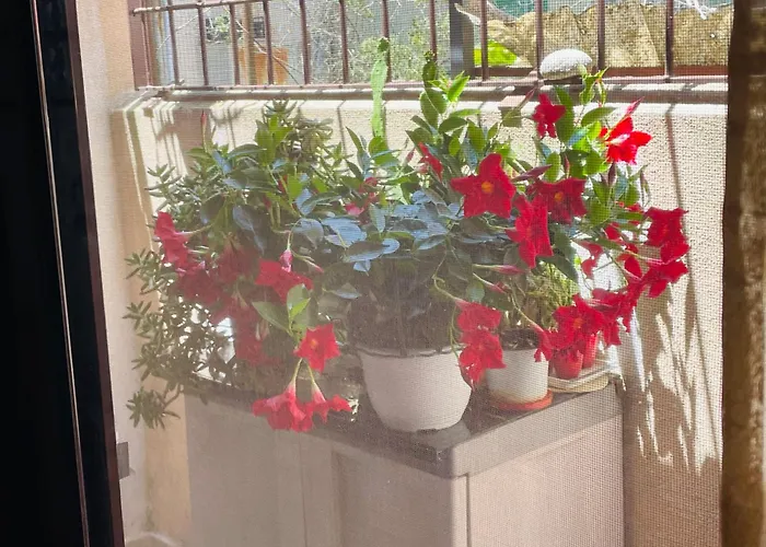 Il Pitagorico Crotone